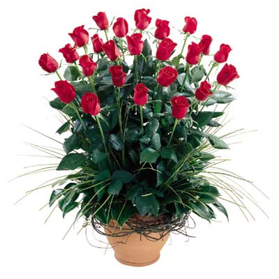  Eskişehir uluslararası çiçek gönderme  10 adet kirmizi gül cam yada mika vazo