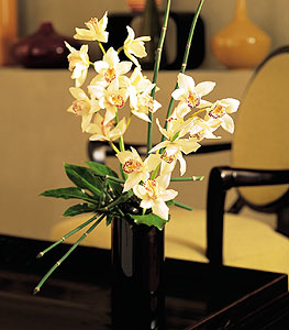  Eskiehir iekiler  cam yada mika vazo ierisinde dal orkide