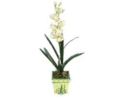 zel Yapay Orkide Beyaz   Eskiehir online ieki , iek siparii 