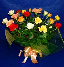  Eskişehir hediye çiçek yolla  13 adet karisik renkli güller