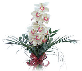  Eskiehir iek siparii sitesi  Dal orkide ithal iyi kalite
