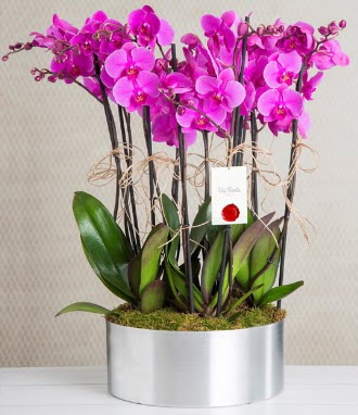 11 dall mor orkide metal vazoda  Eskiehir iek gnderme sitemiz gvenlidir 