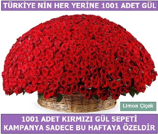 1001 Adet kırmızı gül Bu haftaya özel  Eskişehir İnternetten çiçek siparişi 