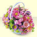  Eskişehir yurtiçi ve yurtdışı çiçek siparişi  bir sepet dolusu kir çiçegi  Eskişehir çiçek gönderme sitemiz güvenlidir 