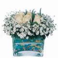 mika ve beyaz gül renkli taslar   Eskişehir çiçek satışı 