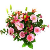 lilyum ve gerbera çiçekleri - çiçek seçimi -  Eskişehir çiçek gönderme 