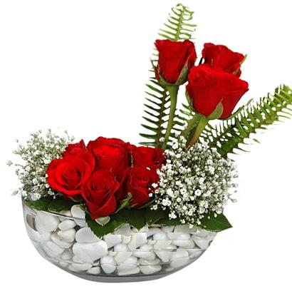 cam içerisinde 9 adet kirmizi gül  Eskişehir çiçek siparişi vermek 