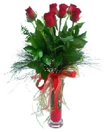 vazo içerisinde 5 kırmızı gül  Eskişehir güvenli kaliteli hızlı çiçek 