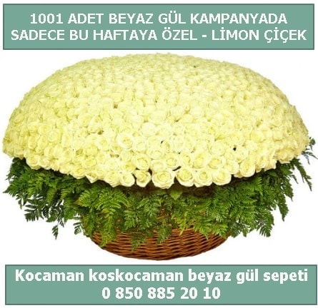 1001 adet beyaz gül sepeti özel kampanyada  Eskişehir çiçek gönderme sitemiz güvenlidir 