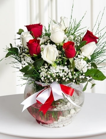 Aşk Küresi  5 beyaz 5 kırmızı gül fanusta  Eskişehir internetten çiçek satışı 